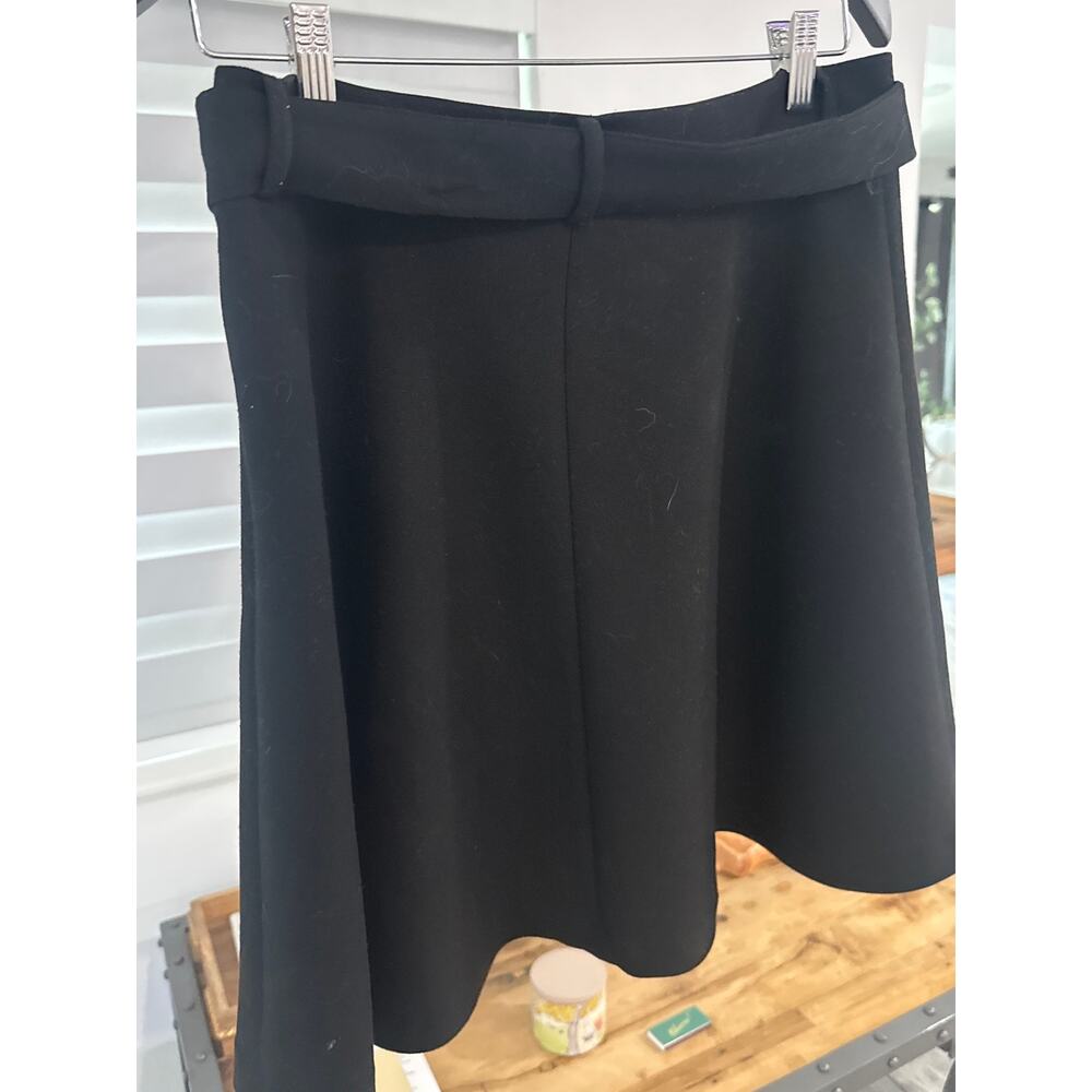 Zara ALine Skirt with Belt - Picture 3 of 6